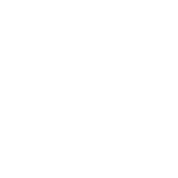 Endoscopias diagnósticas y terapéuticas